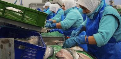 turk-su-urunleri-ihracatinda-rekor-baslangic-2026-icin-hedef-25-milyar-dolar