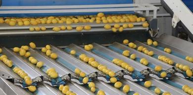 turkiyenin-yas-meyve-ve-sebze-ihracati-13-milyar-dolari-asti