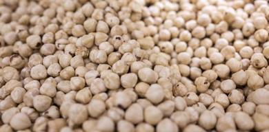 dogu-karadeniz-findik-ihracatinda-378-milyon-dolari-asti