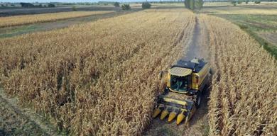 hububatta-rekor-beklentisi-yagislar-38-yilin-zirvesinde