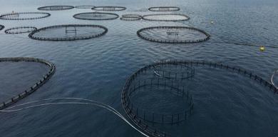 mugladan-dev-ihracat-hamlesi-3-ayda-198-milyon-dolar