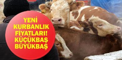 yeni-kurbanlik-fiyatlari-2026-buyukbas-kucukbas-kurbanlik-ve-hisse-fiyatlari-ne-bu-yil-kurbanliklar-ne-kadar