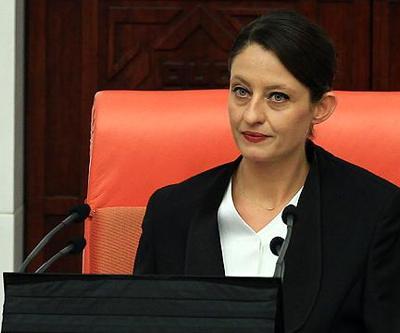 Pavey: Bu ülke sizin egolarınızdan daha değerlidir