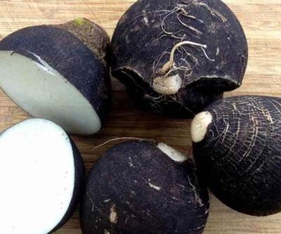 Kara turp böbrek taşı oluşumunu önlüyor