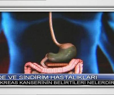 Pankreas kanseri nedir Belirtileri nelerdir