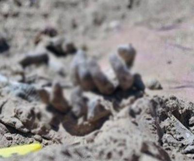 Şengal yakınlarında Ezidilere ait toplu mezar bulundu