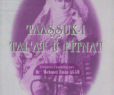 İstanbulun 100 Romanı