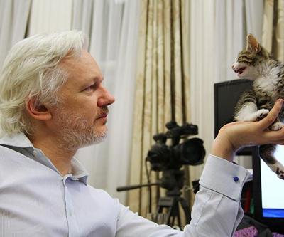 Wikileaks kurucusu ABDye iade edilebilir