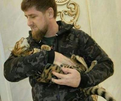 Çeçen liderin kayıp kedi ilanı alay konusu oldu