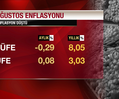 Enflasyon Ağustosta eksi geldi