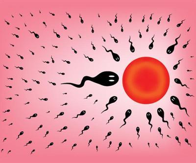 Tüp bebekte kuyruğu olmayan spermler de sonuç verebilmekte