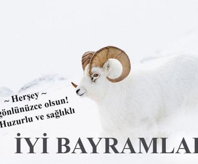 En özel Kurban Bayramı mesajları | 2016 Kurban Bayramı namaz saati