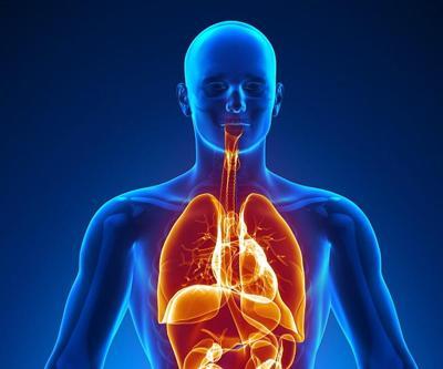 İnsan vücudunda yeni bir organ keşfedildi