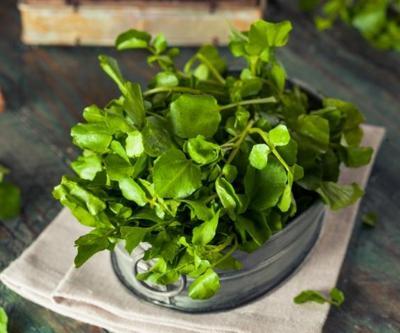 Mevsimin en şifalı sebze meyveleri