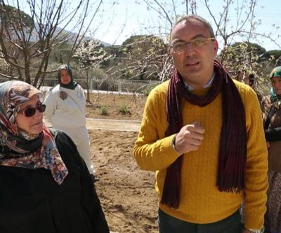 Kooperatifleşerek başarıya ulaşan kadınların hikayesi