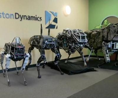 Robot köpekler ticarete atılıyor