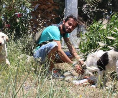 Sokak hayvanlarını besliyor diye saldırıya uğradı