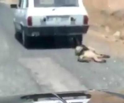 Köpeğini arabaya bağlayıp asfaltta sürükledi
