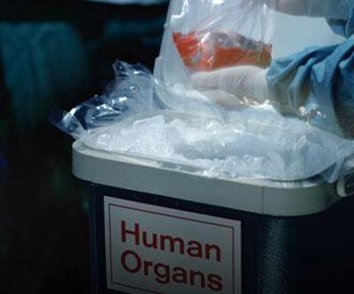Türk Böbrek Vakfını arayıp organ satmak istiyorum diyorlar