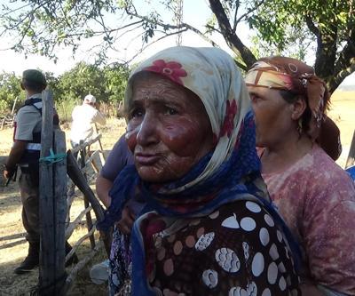 Tarım arazisinden çıkan yangın ormanı da yaktı