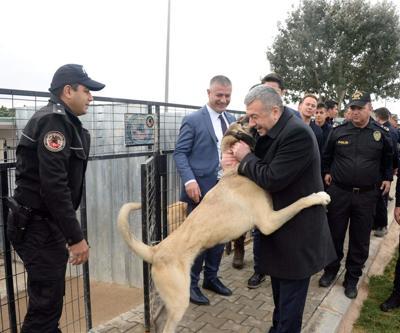 İstanbul Emniyet Müdürü, Kangal ve Akbaşların eğitimini denetledi
