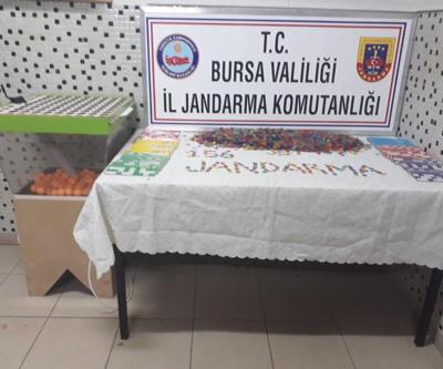 Derneğe kumar baskını