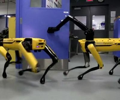 Dünyanın en centilmen robotu