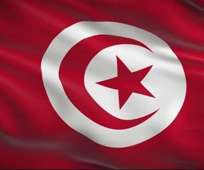 Tunusta askeri uçak düştü