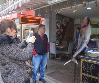 Görenler önce şaşırdı sonra telefona sarıldı