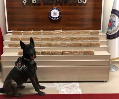 Parfümle gizlemek istediler ama Alfa 17 kilo eroini yakaladı