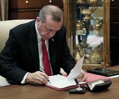 Erdoğan onayladı, Yardımcı Doçentlik gitti, Doktor Öğretim Üyesi kadrosu geldi