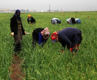 35 lira için bombaların gölgesinde çalışıyorlar