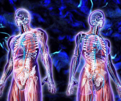 İnsan vücudunda yeni bir organ keşfedildi: Interstitiyum