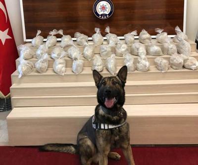 Van’da narkotik köpeği Rexo, kamyonetteki 32 kilo eroini buldu