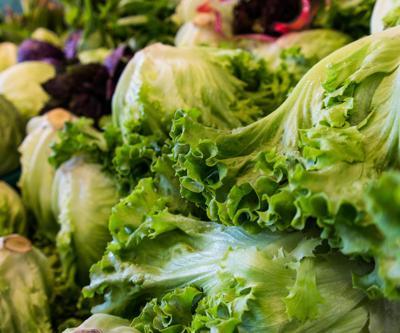Maruldaki koli basili 5 can aldı