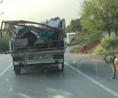 Köpeği kamyonete bağlayıp kilometrelerce sürükledi