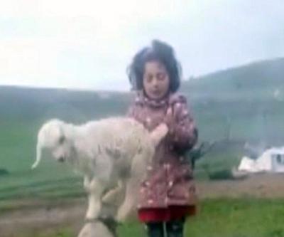 Keçi yavrusuna şarkı söyleyerek dans ettirdi