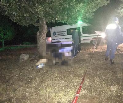 Yıldırım düştü 2 çoban öldü, 105 de keçi...