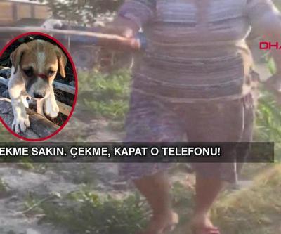 Kuşadasında yavru köpeği sopayla dövdü