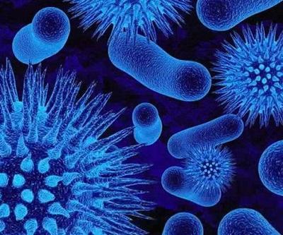 Hepatit B Nedir Hepatit B Belirtileri Nelerdir