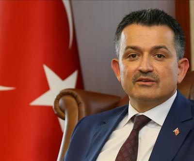 Pakdemirliden balık tüketelim çağrısı