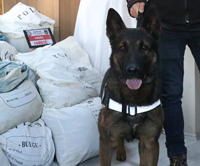 Odin hassas burnuyla tarihe geçti
