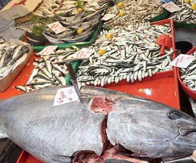 150 kilogramlık orkinos ağa takıldı