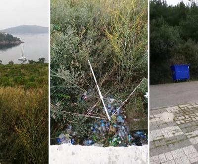 Plastik atıkları çöpe atmak yerine doğayı kirlettiler