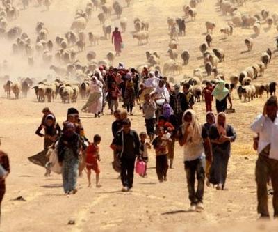 Irakta 100 bin Ezidi DEAŞ nedeniyle ülkeyi terk etti