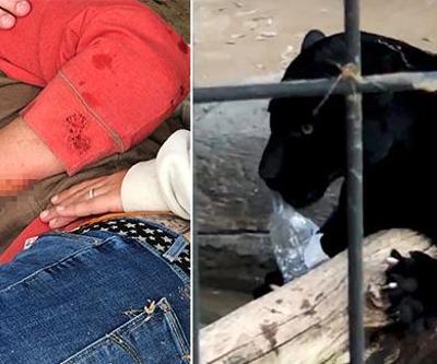 Öz çekim yapmaya çalışırken jaguarın saldırısına uğradı