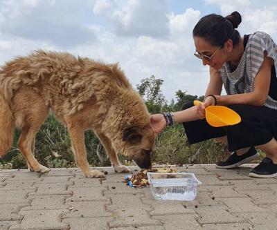 Gönüllü Pati Dostları, mama desteği bekliyor