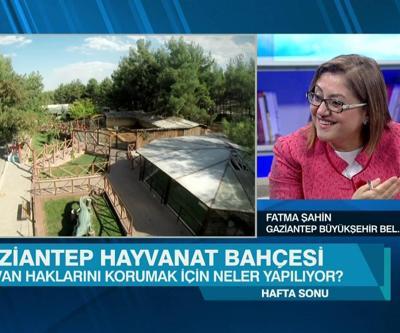Fatma Şahin: Hayvan hakları savunucuları burayı görmeli