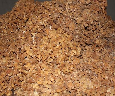 Toroslardan gelen lezzet Bucak salebi, kışın vazgeçilmezi
