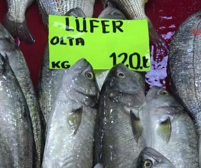 Lüfer el yakıyor